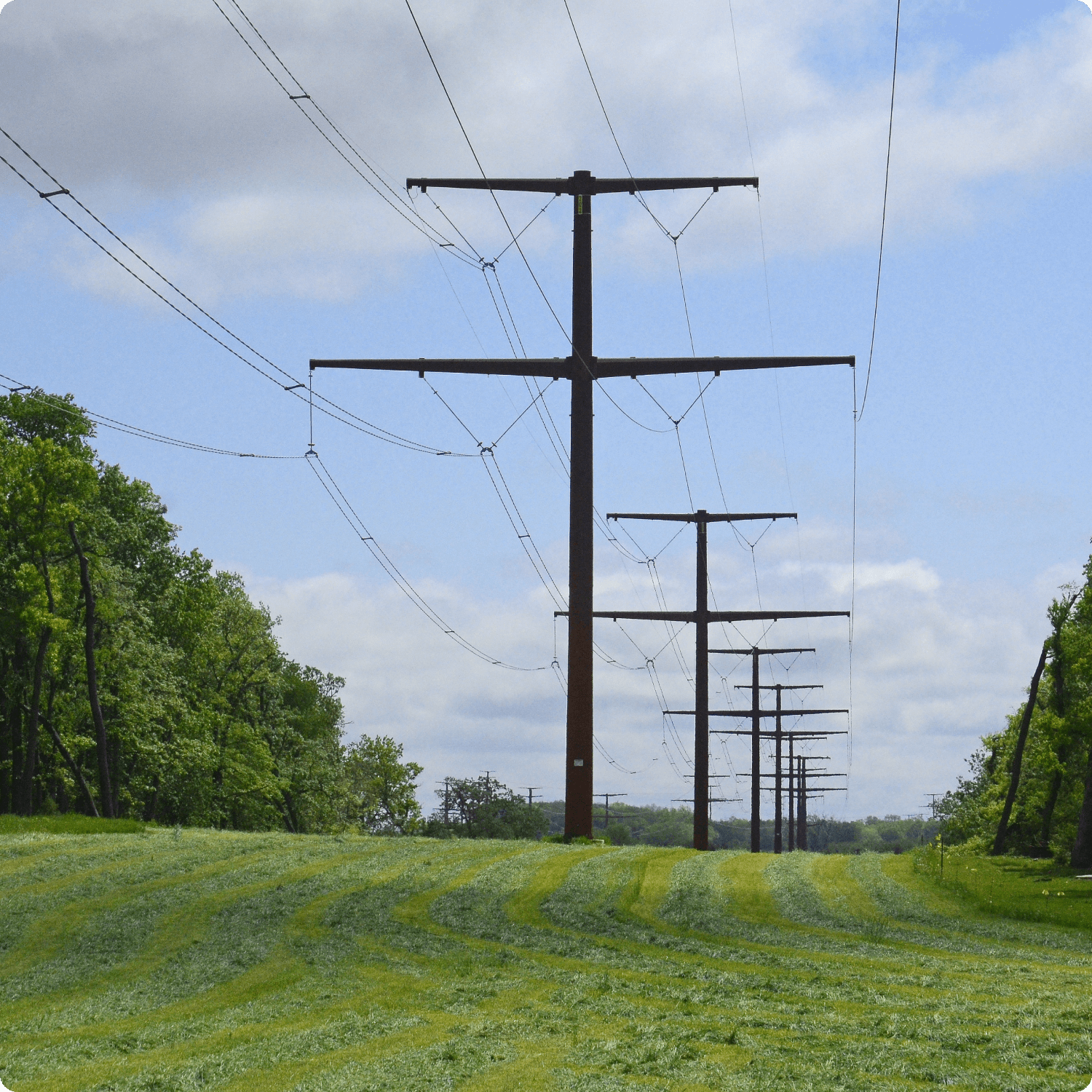 GP_Advocacy_IMG Power lines in the middle of a field with trees and blue sky